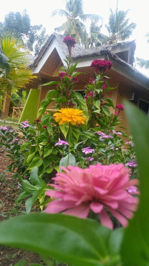 Miki'S Guest House Siquijor Exterior photo