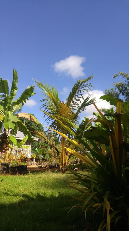 Miki'S Guest House Siquijor Exterior photo